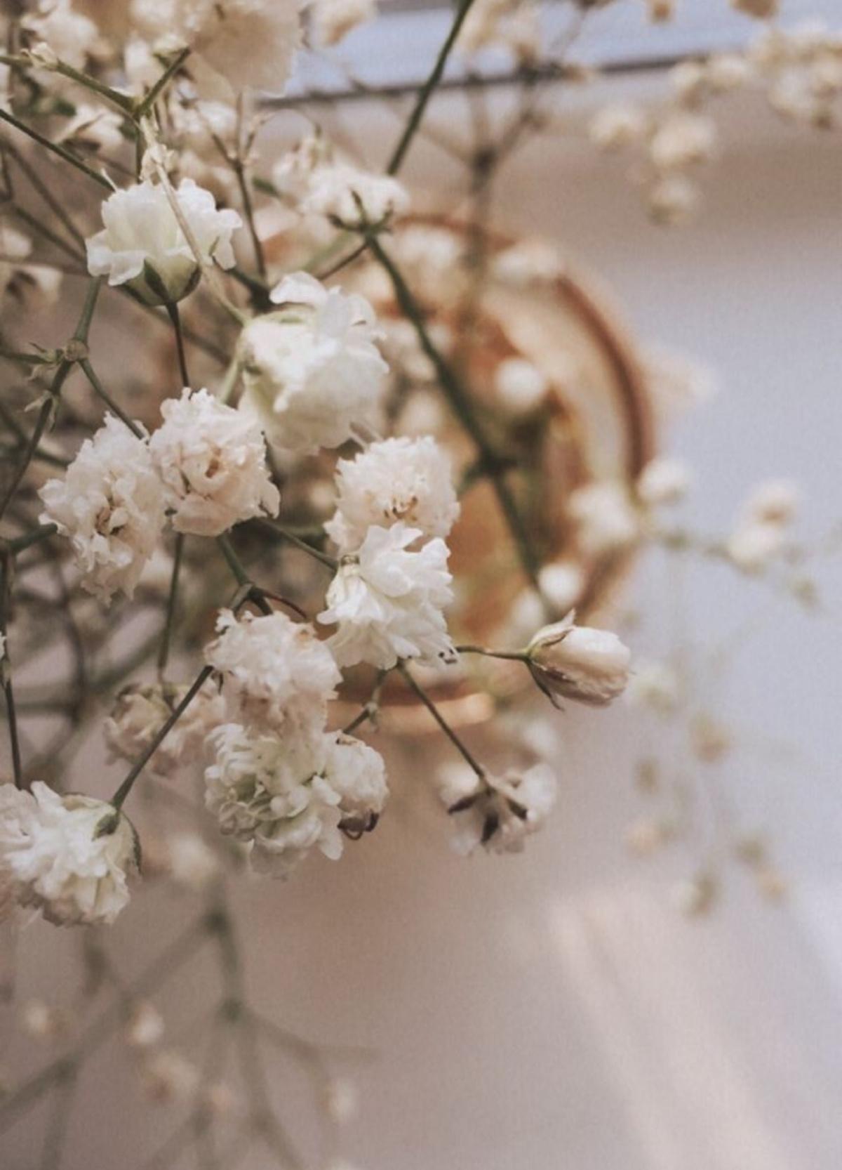 Mental Discipline & Inner Peace Mental Discipline & Inner Peace