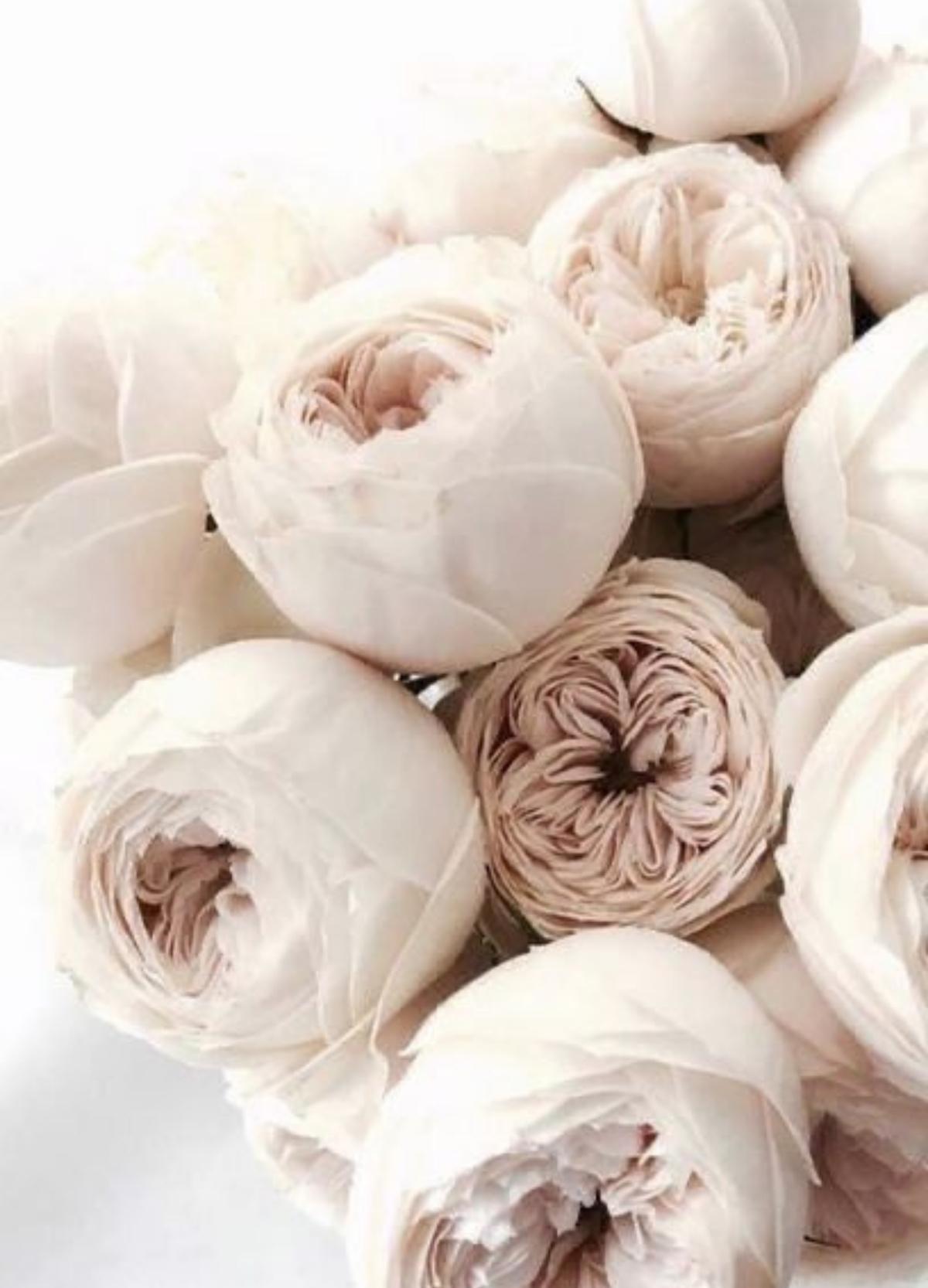 Dismantling the All-or-Nothing Mentality