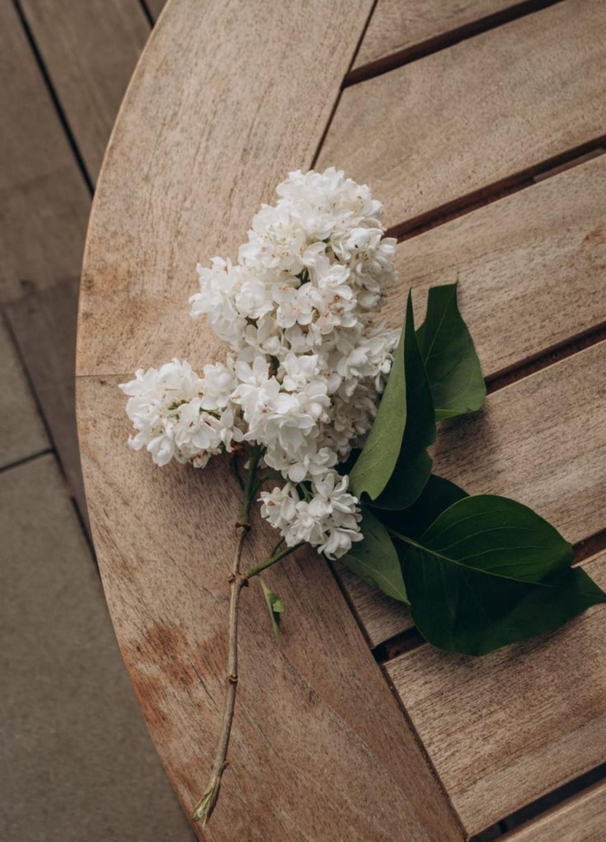 Rewiring Negative Self-Talk Rewiring Negative Self-Talk