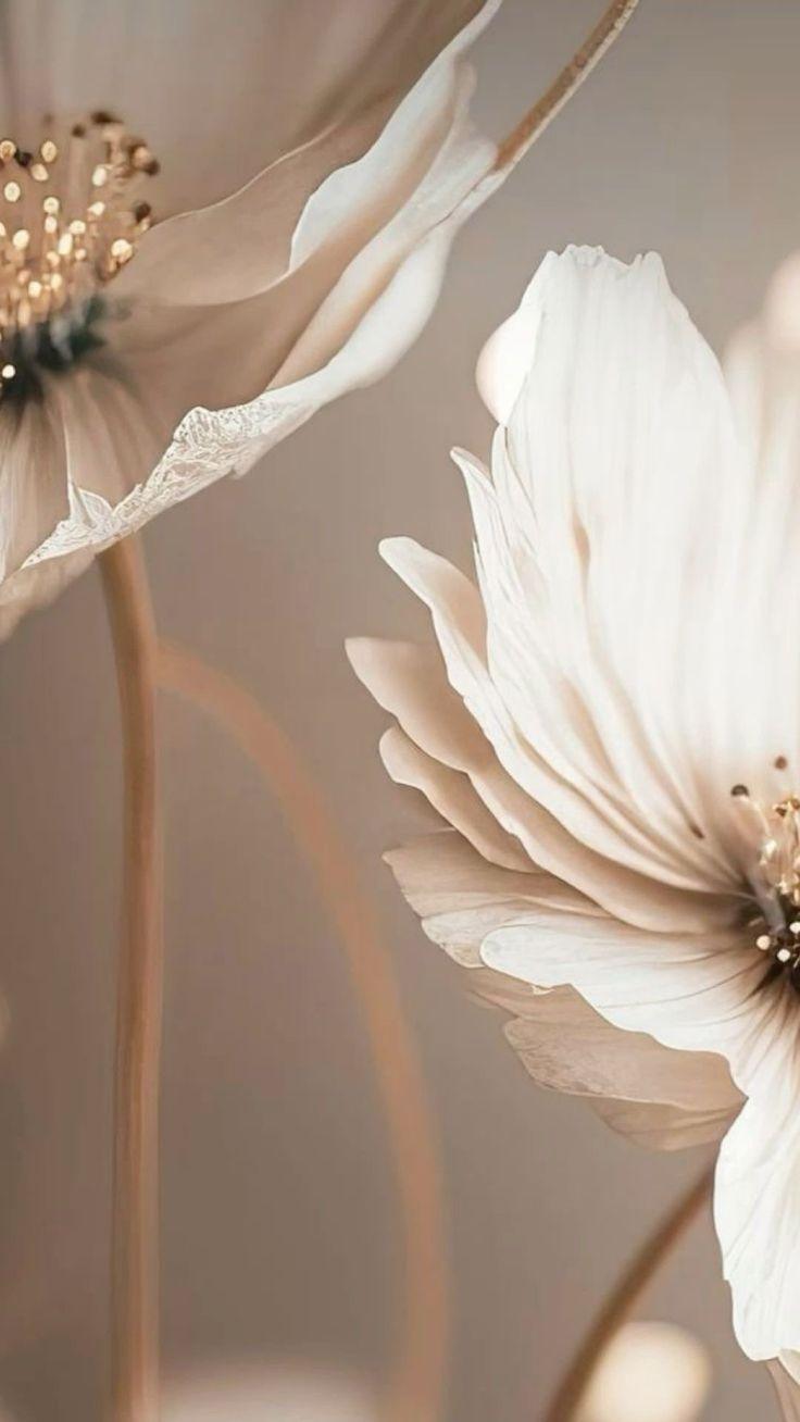 You Say “Yes” Before You Even Think