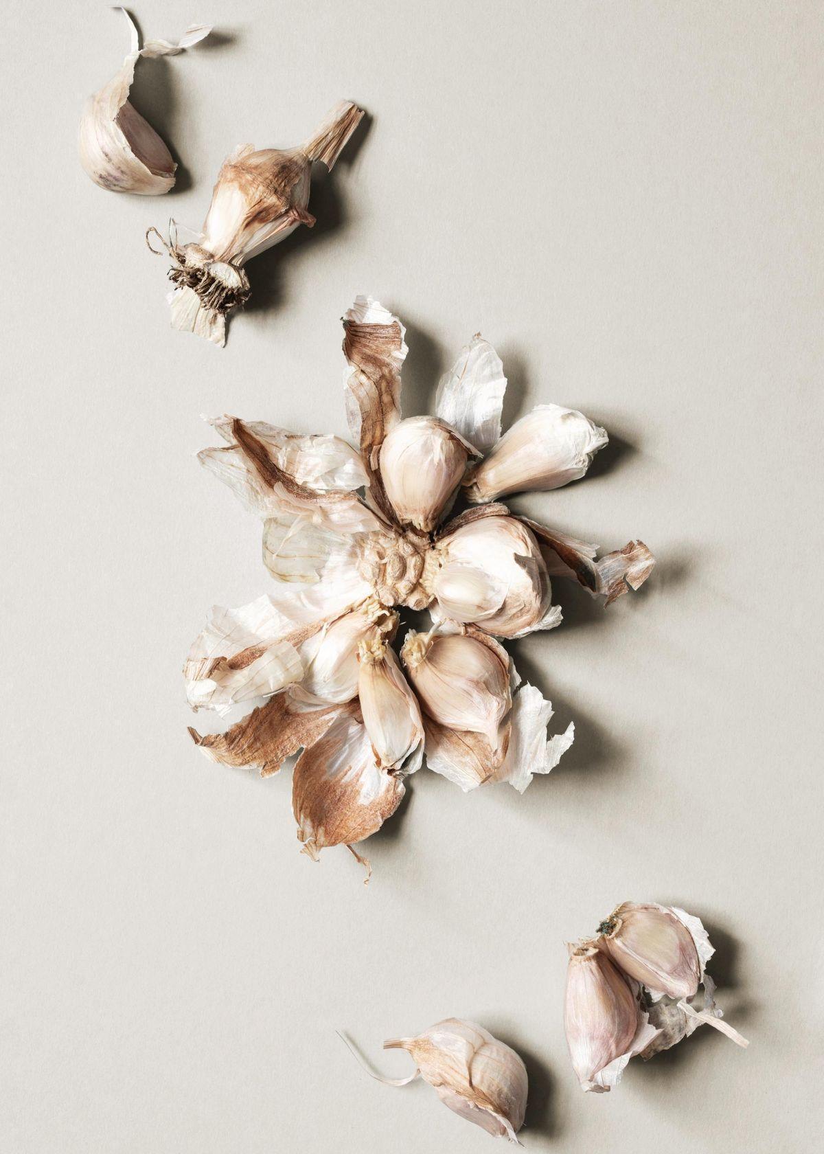 We Don’t See Things As THEY Are. We See Them As WE Are. We Don’t See Things As THEY Are. We See Them As WE Are.