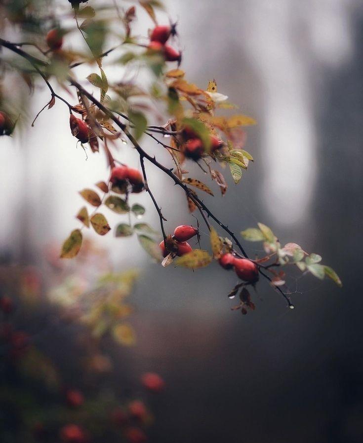 You Are Safe to Pause