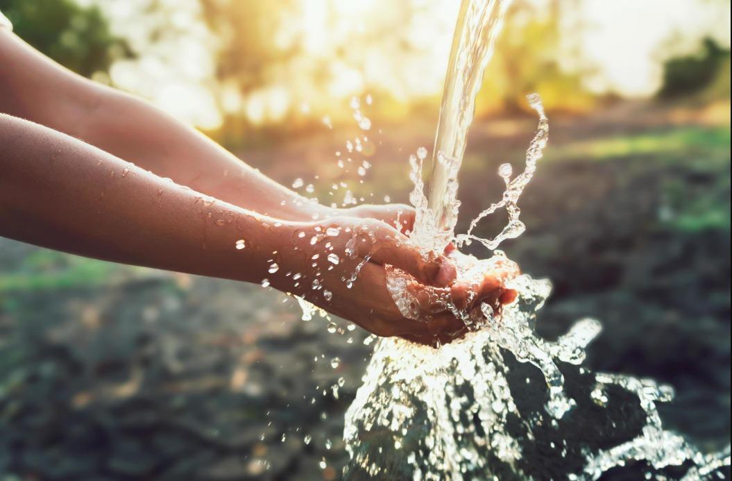 Domingo, 25 de janeiro