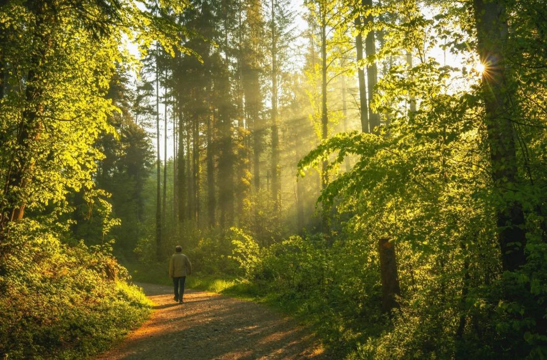 Quarta, 25 de março
