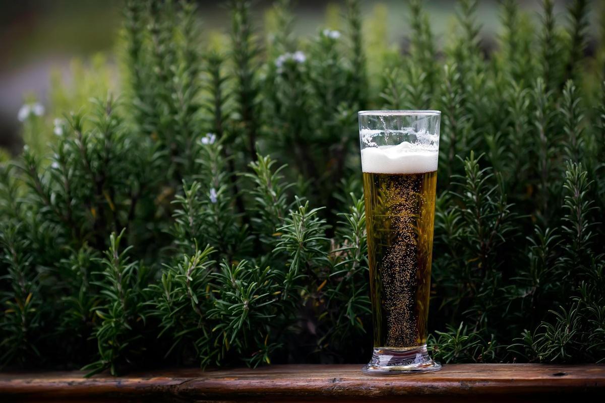 Benefits of Beer
