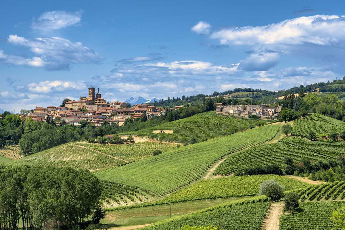 Scopri il Monferrato: Un Viaggio tra Storia, Natura e Sapori Scopri il Monferrato: Un Viaggio tra Storia, Natura e Sapori