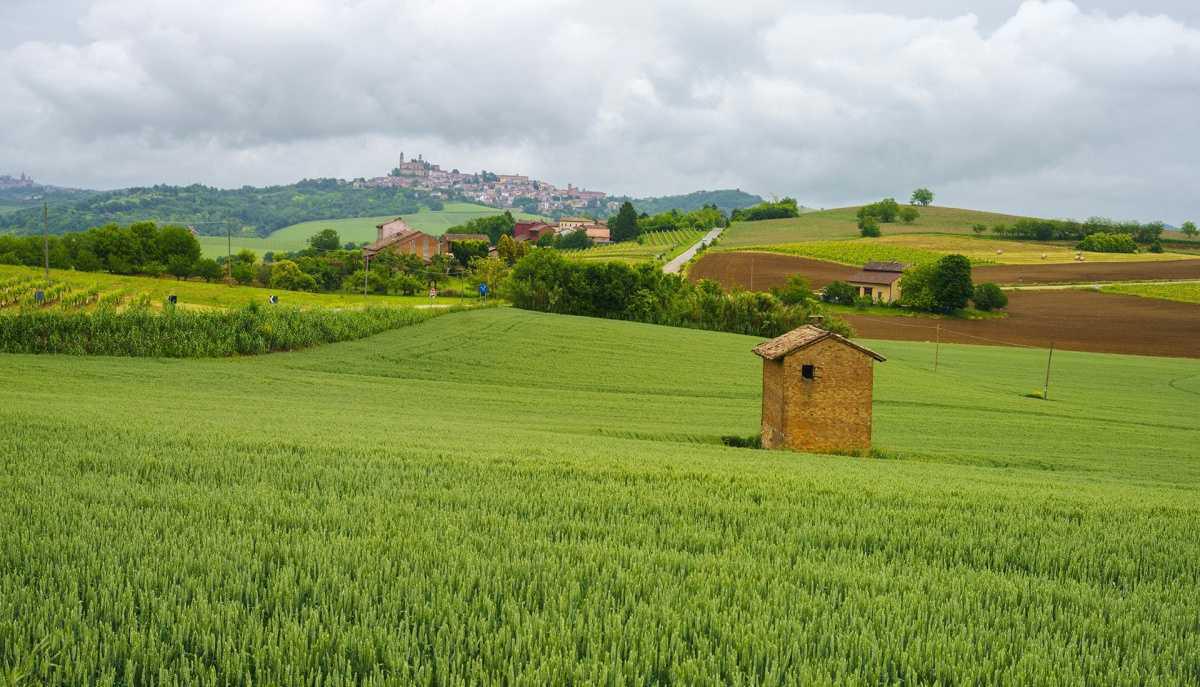 Siamo il Monferrato Siamo il Monferrato