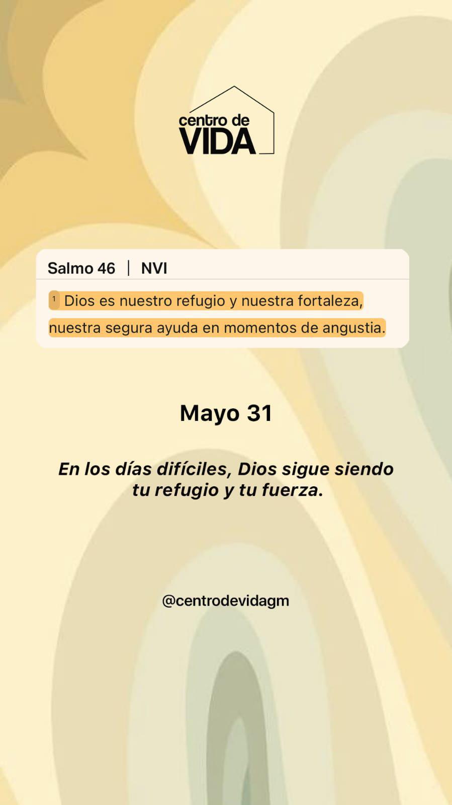 SABADO 31