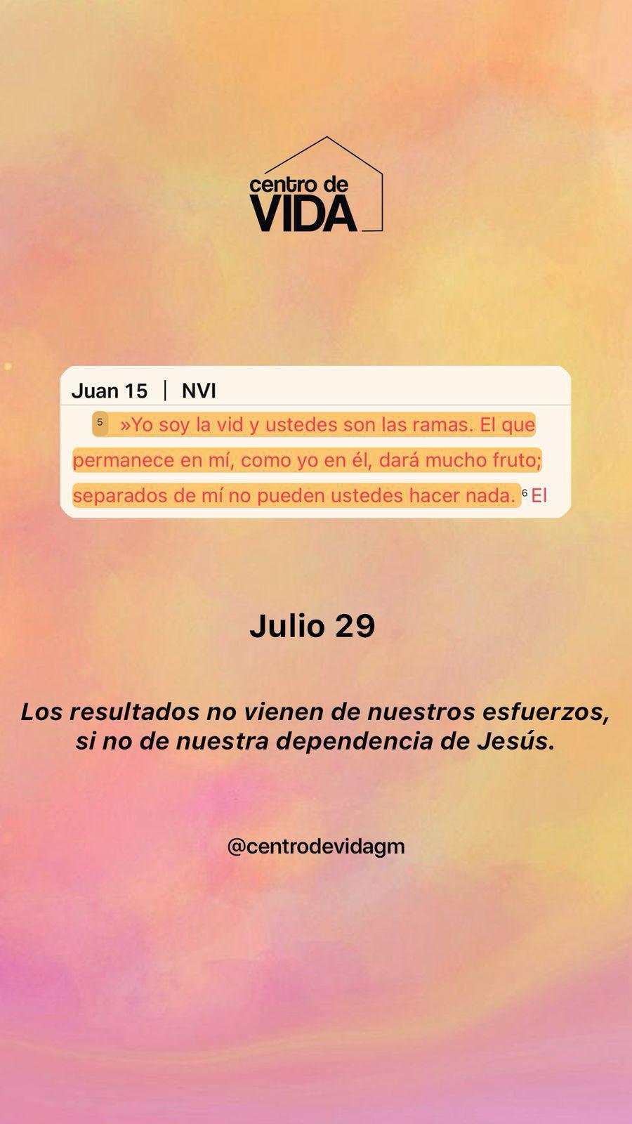 MARTES 29