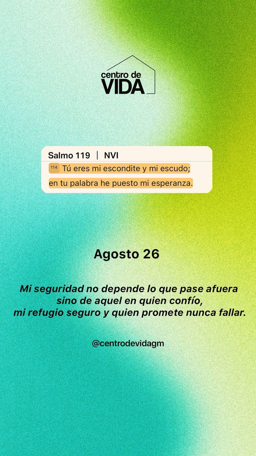MARTES 26