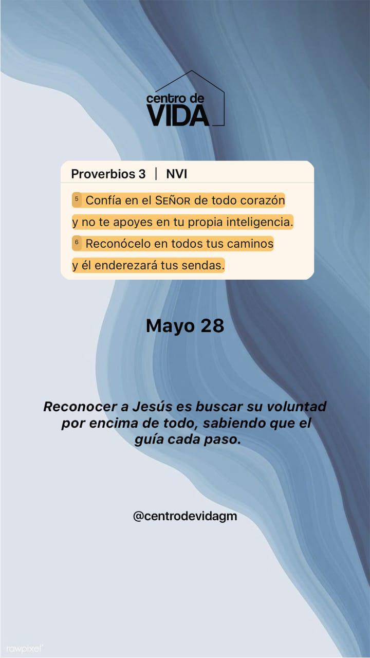 MIÉRCOLES 28