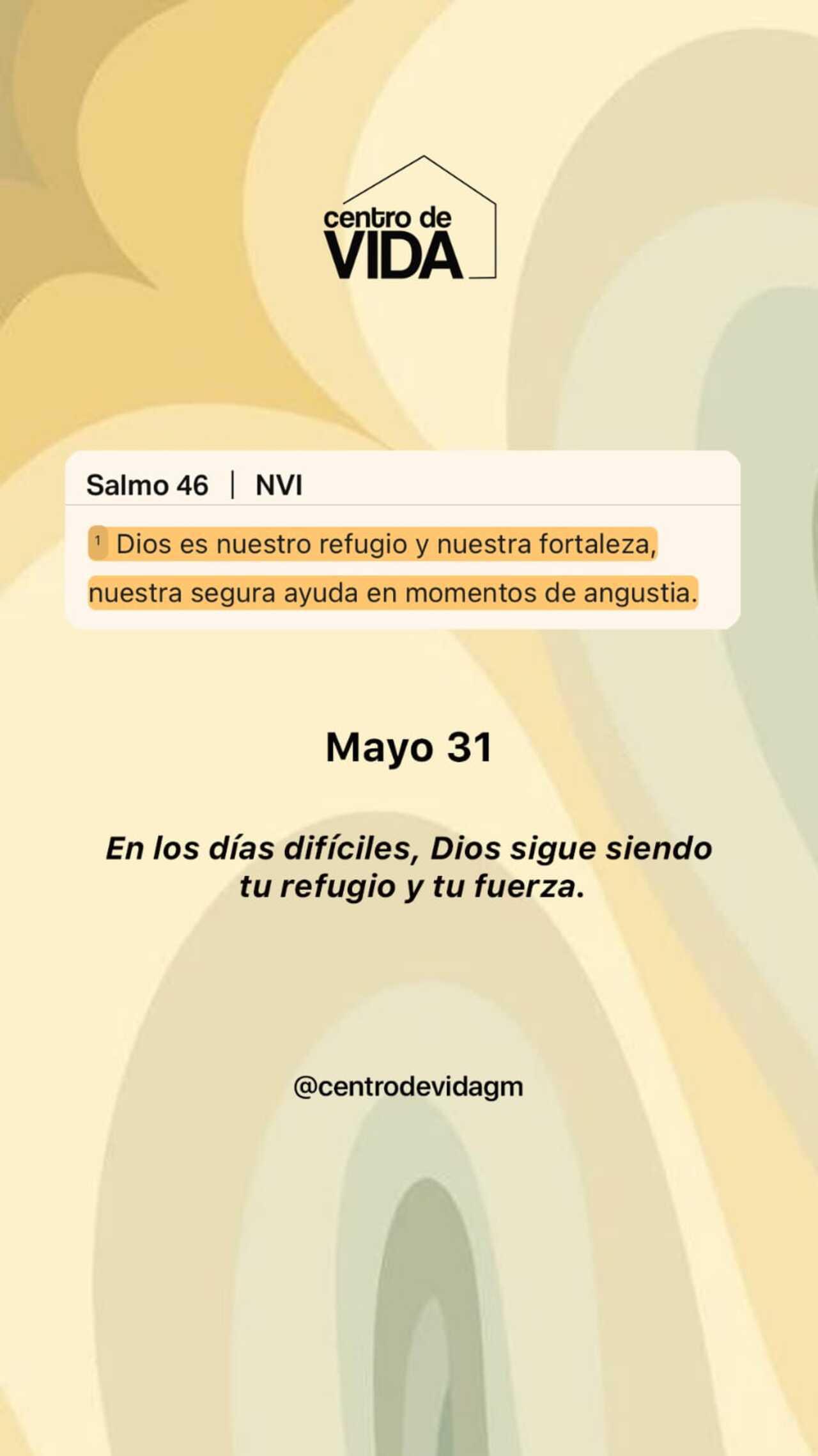 SABADO 31