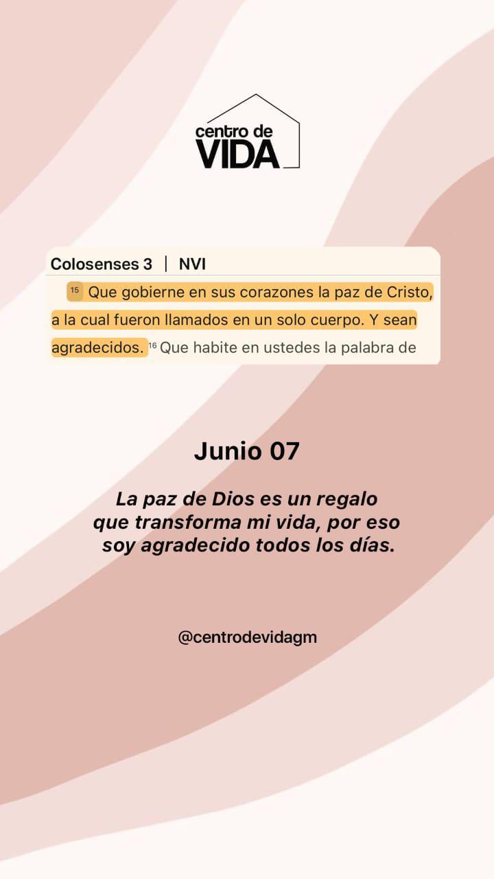 SABADO 7