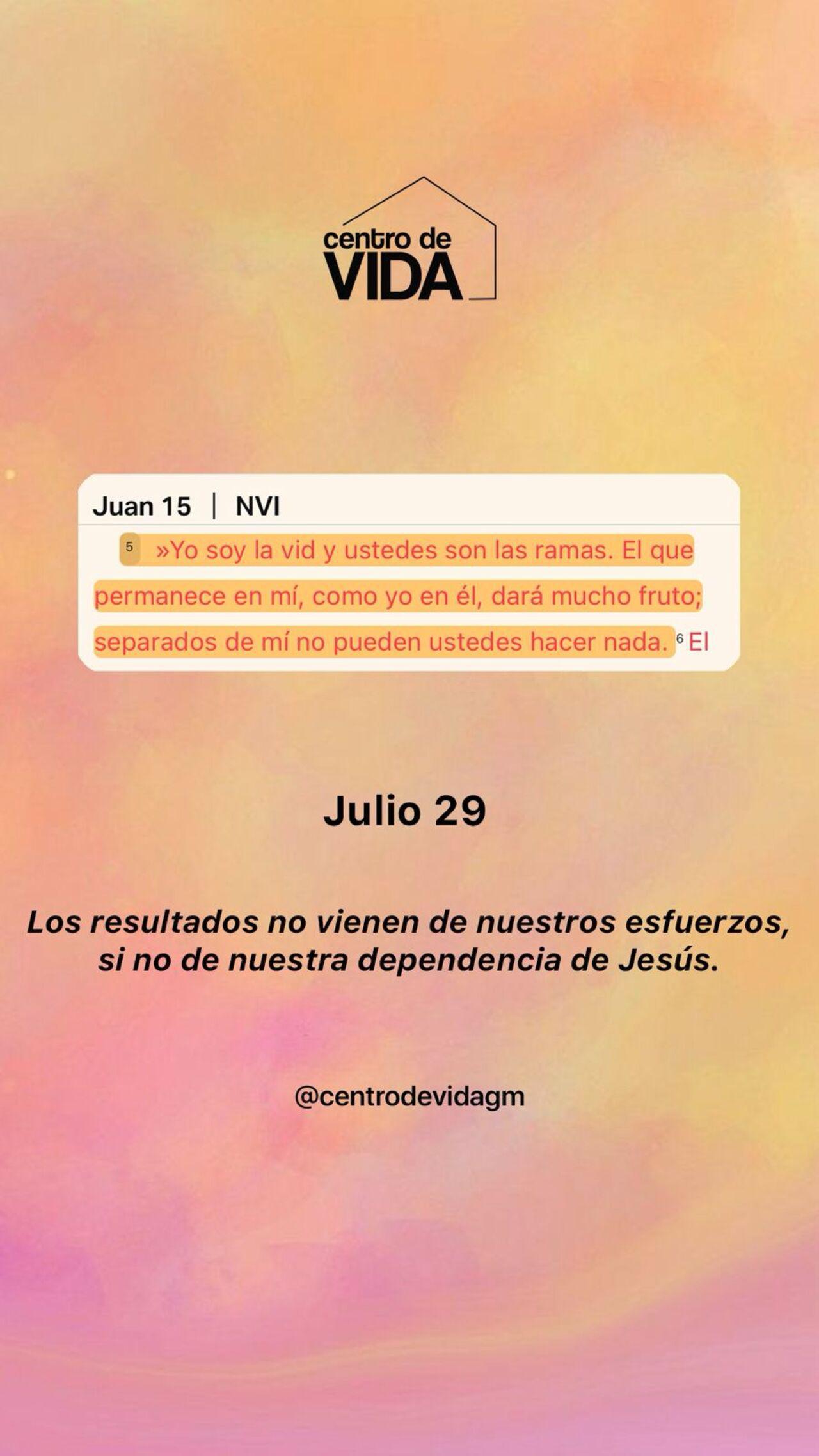MARTES 29