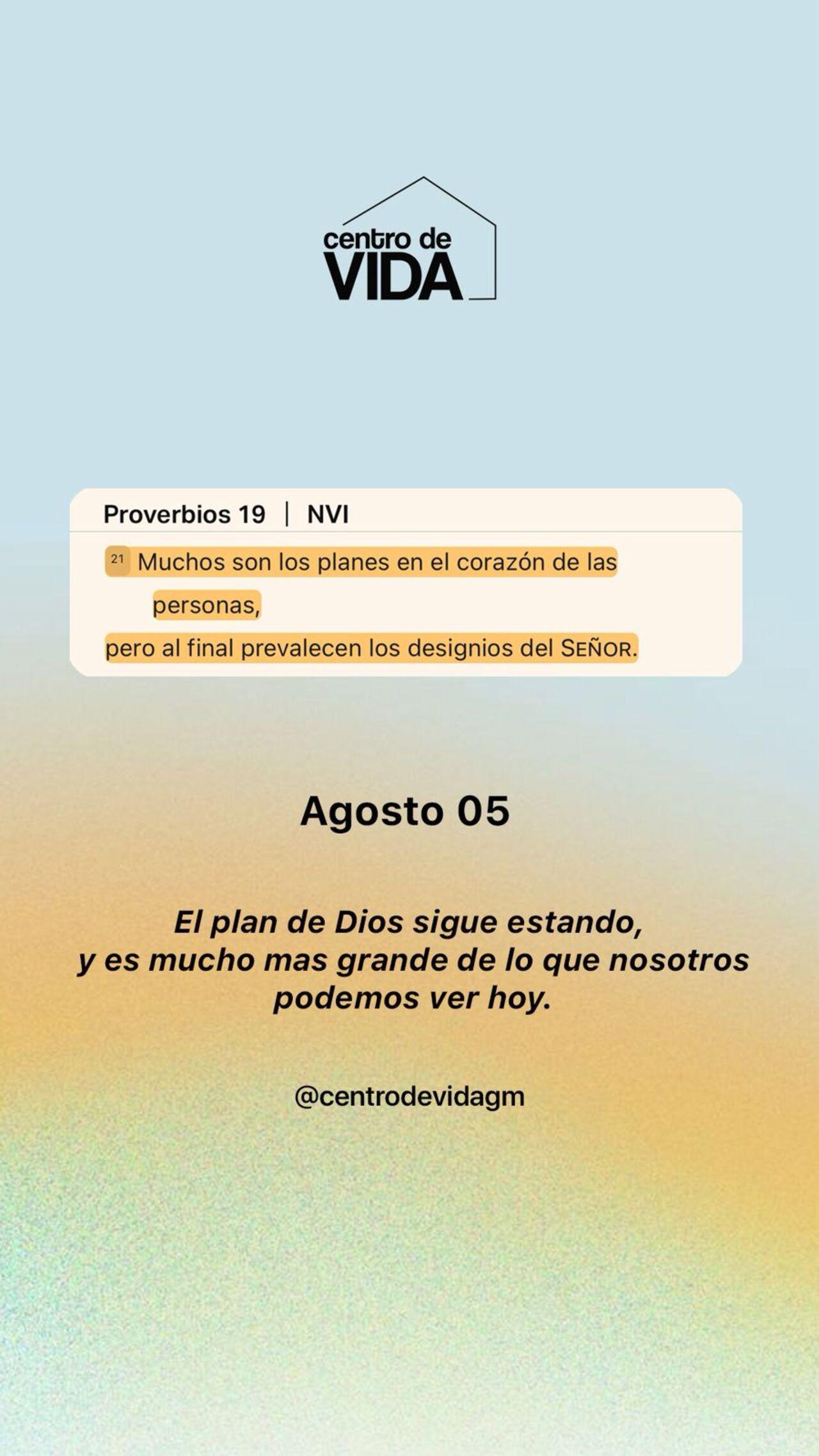 MARTES 5