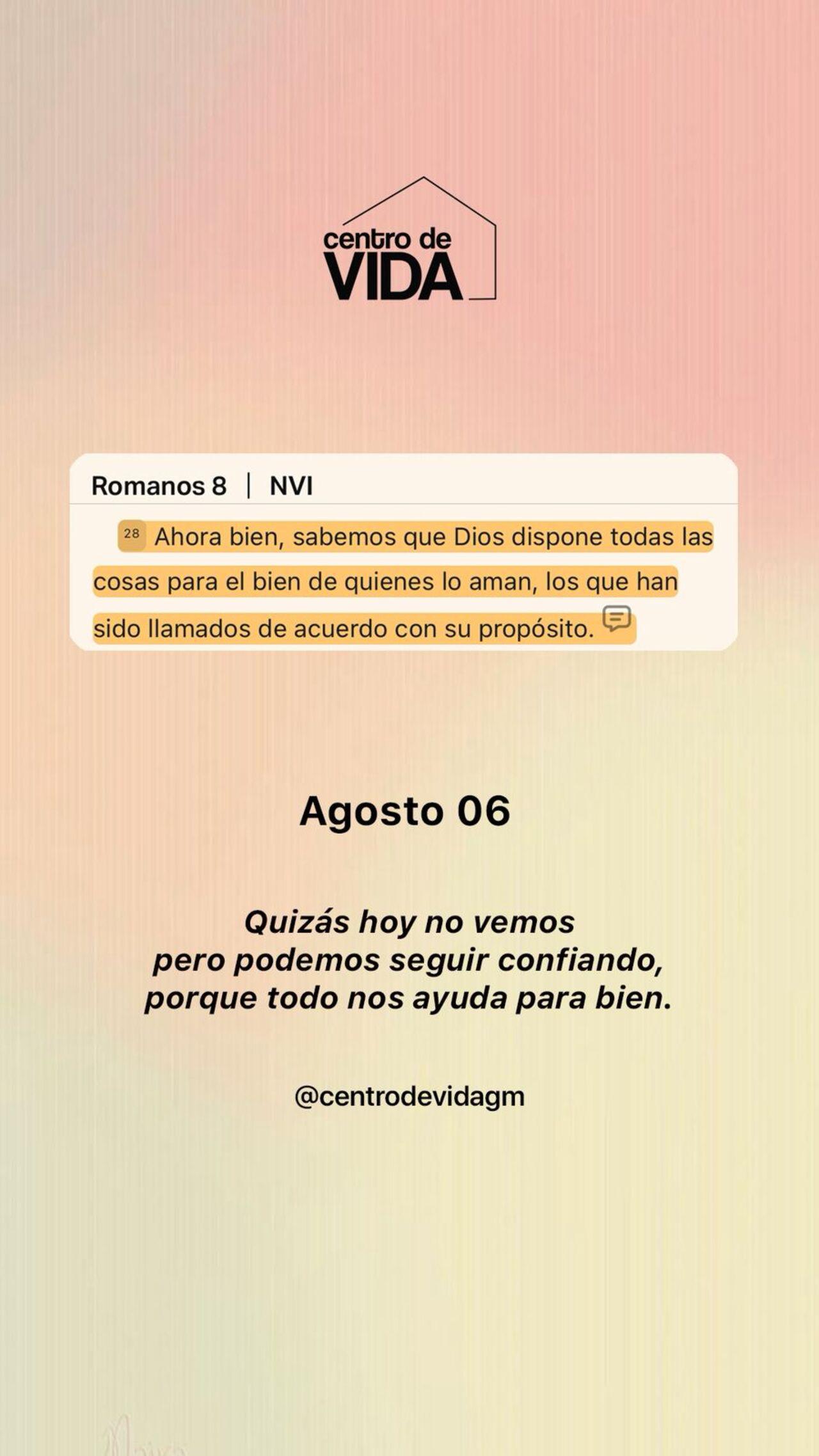 MIERCOLES 6
