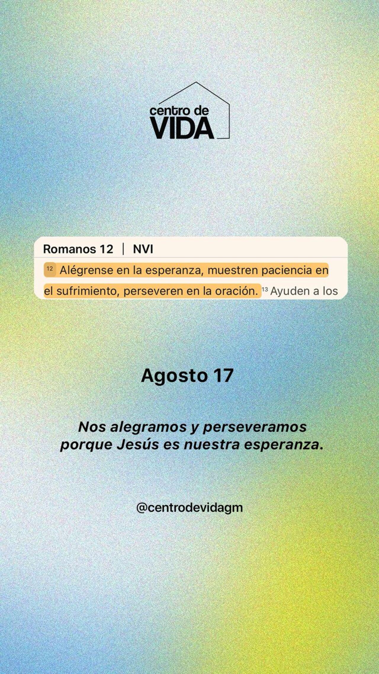 DOMINGO 17