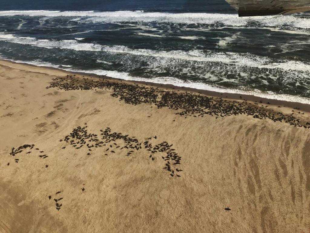 SOSSUSVLEI SCENIC – 2h15min