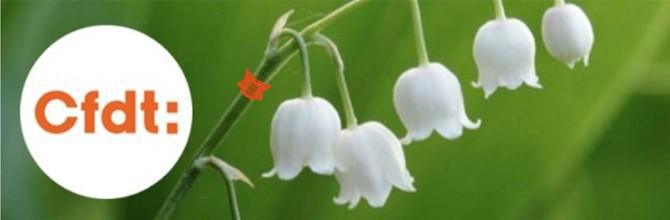 Fête du travail du 1er Mai 2025 Fête du travail du 1er Mai 2025