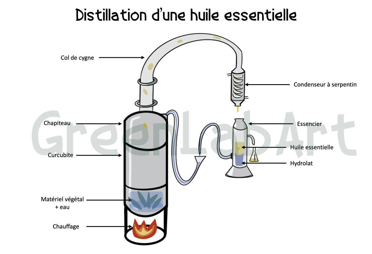 Distillation d'un huile essentielle