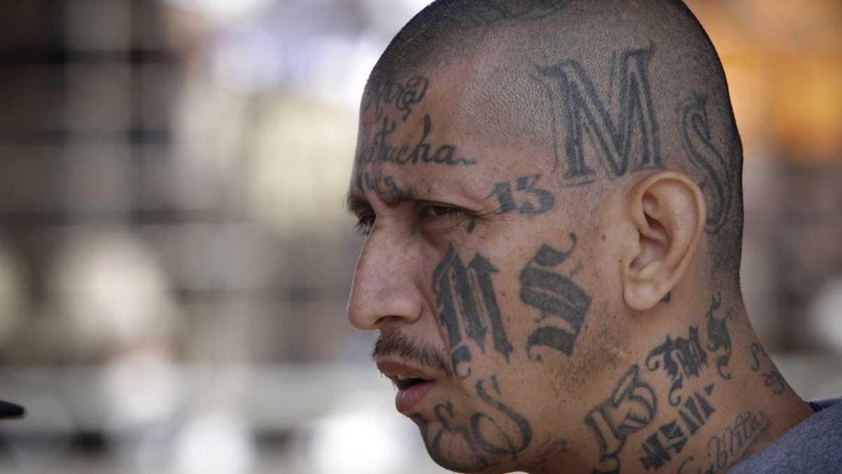 The Symbols, Initiations, and Street Culture of American Gangs