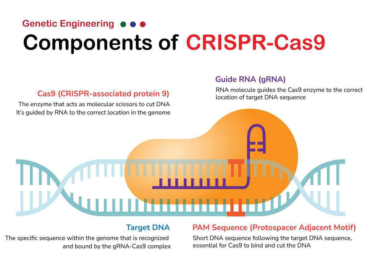 The CRISPR Revolution Is Rewriting the Blueprint of Life