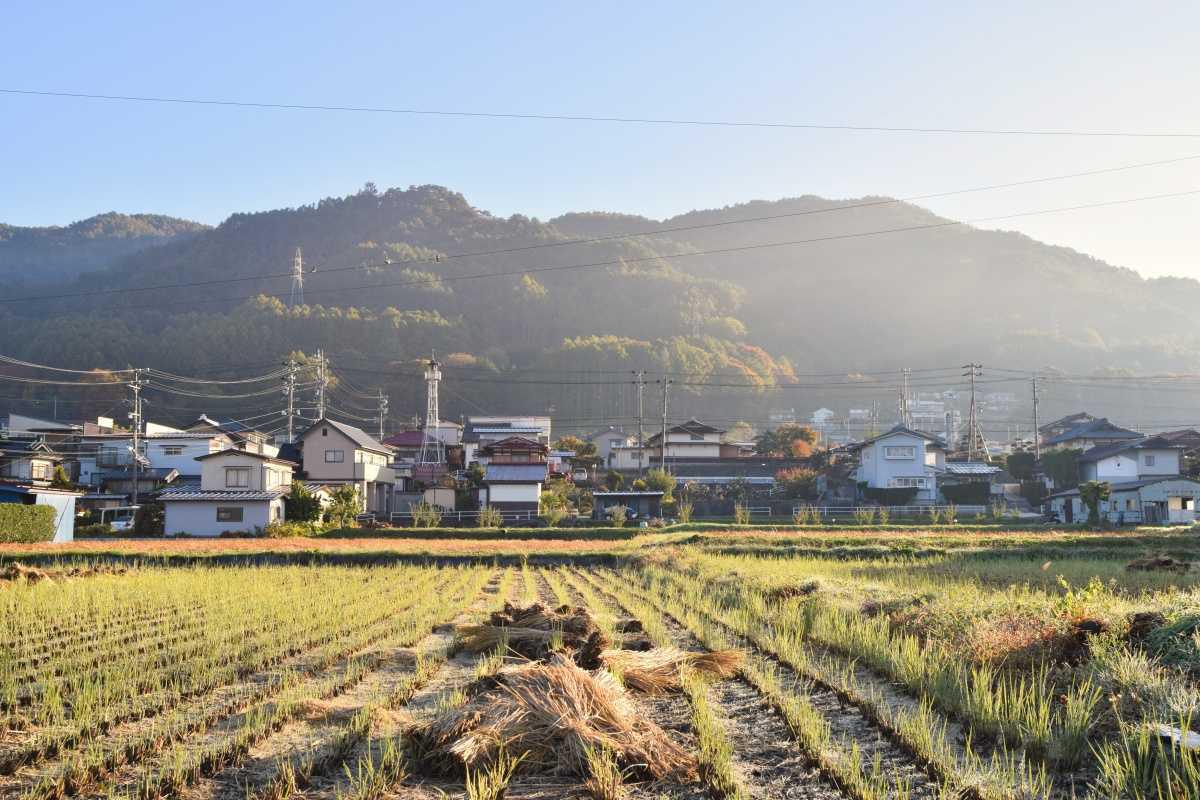 Zoom Towns and the Geography of Work