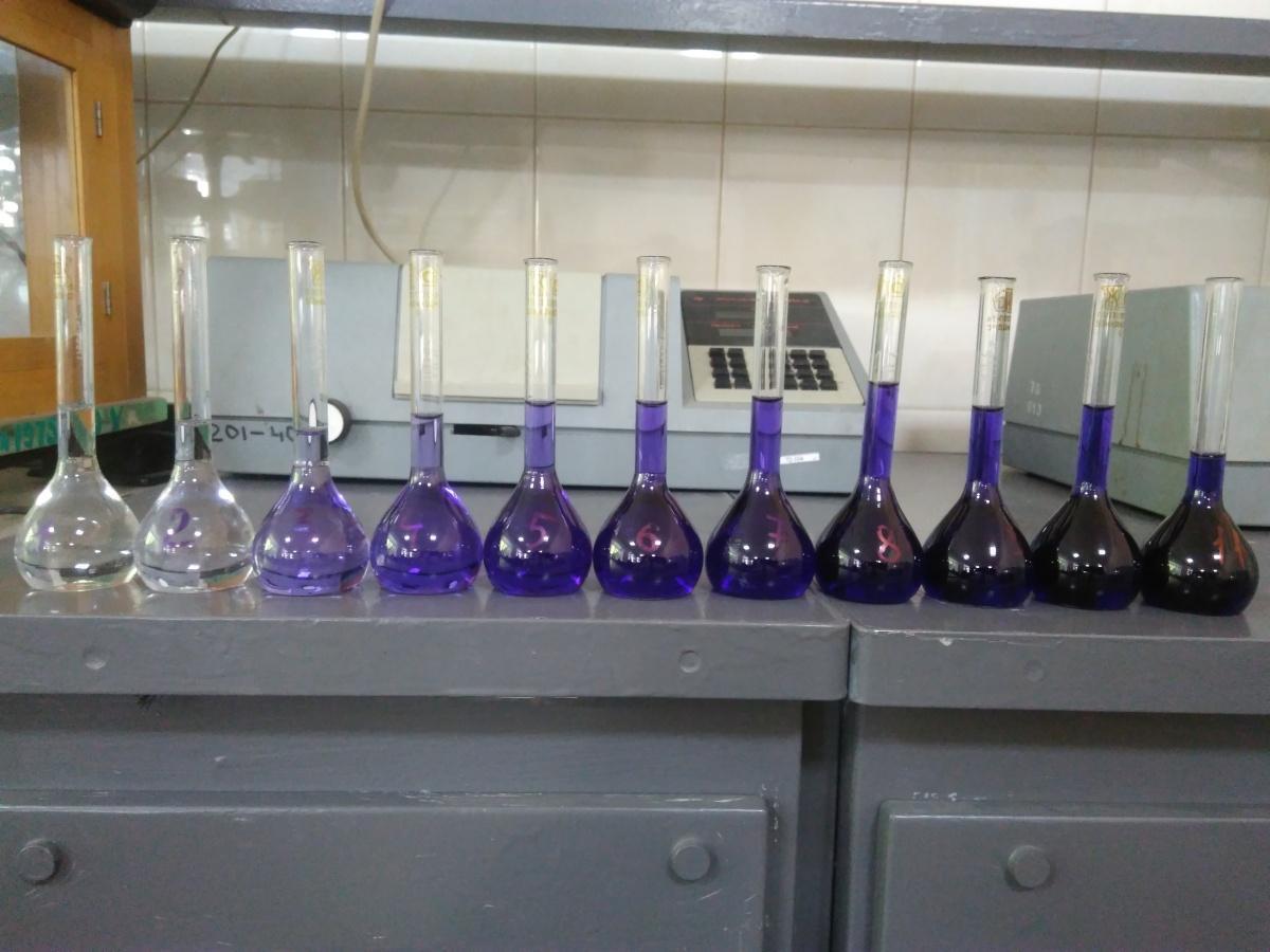 Plastic-Eating Enzymes and the War on Waste