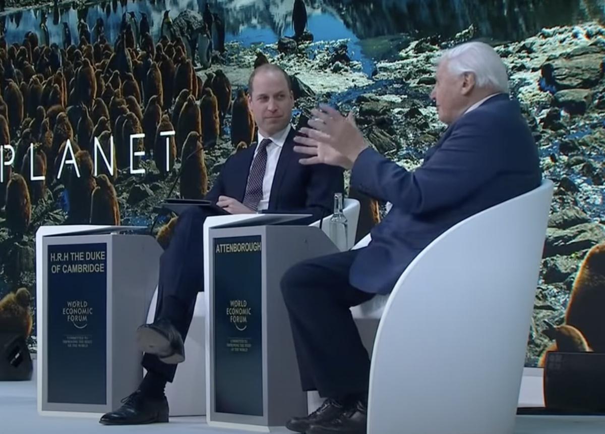 Who is David Attenborough? Who is David Attenborough?