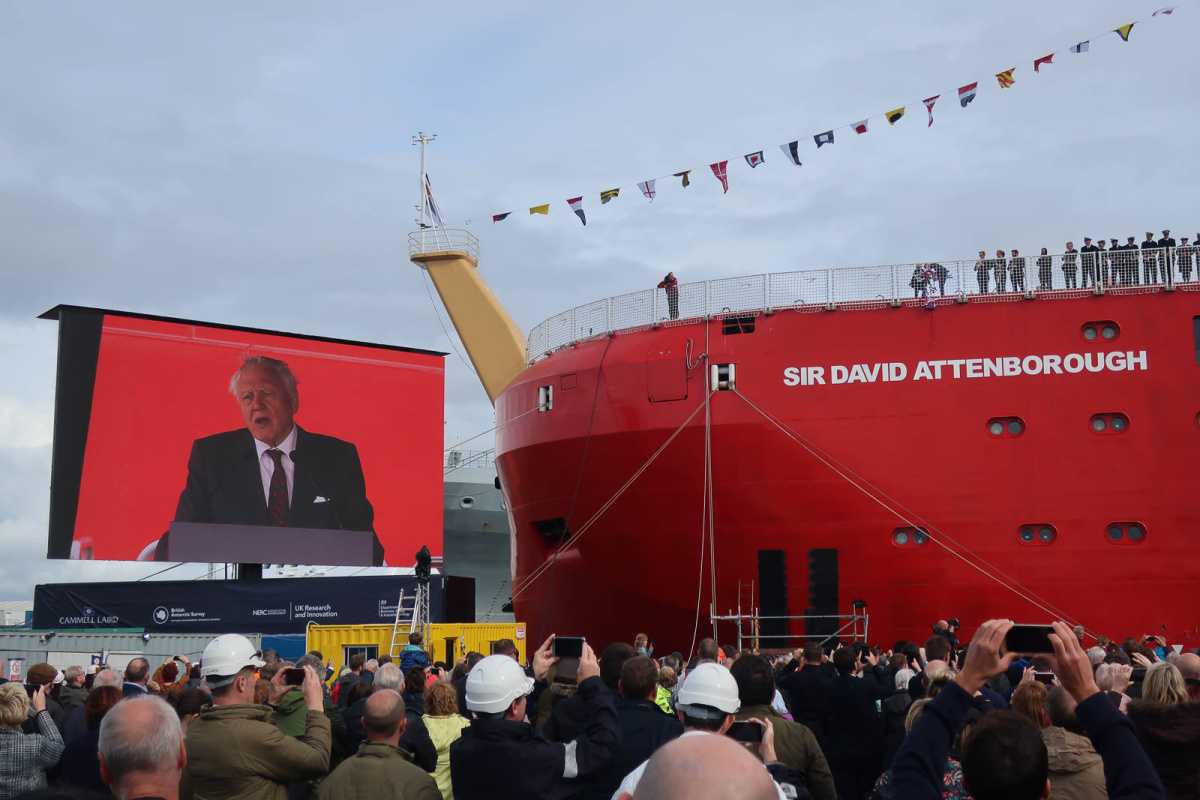 Who is David Attenborough? Who is David Attenborough?