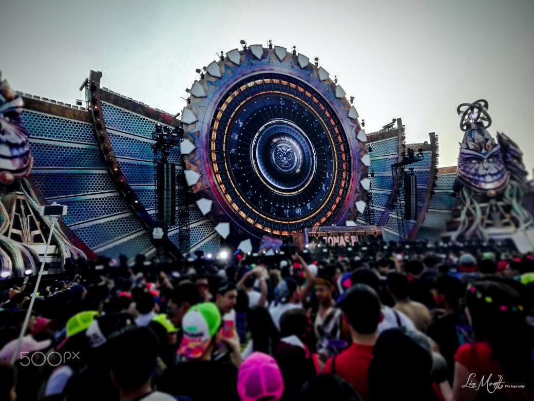 Music Festivals as Micro-Societies