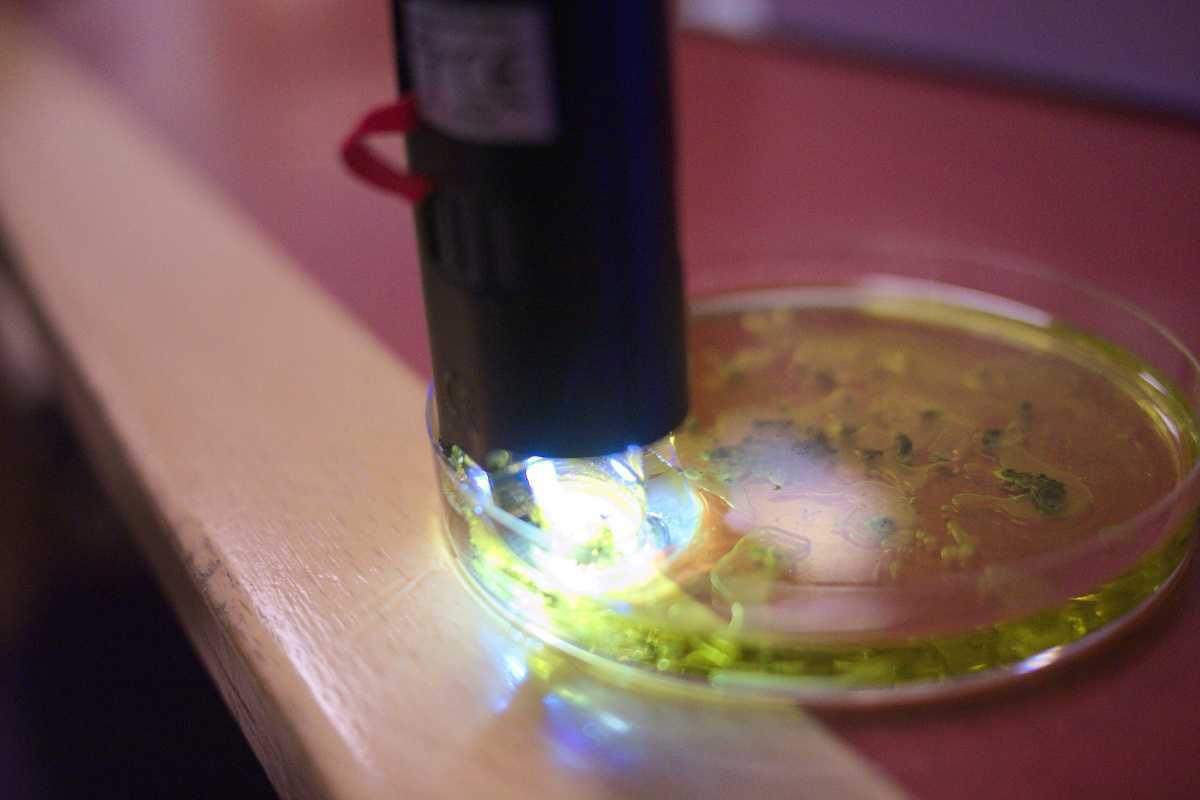 Hacking Human Biology at Home