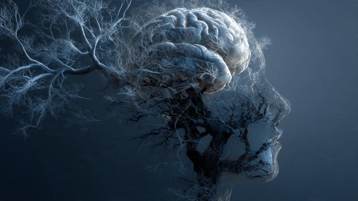 Do Humans Actually Have Free Will? What Neuroscience Is Starting to Suggest Do Humans Actually Have Free Will? What Neuroscience Is Starting to Suggest