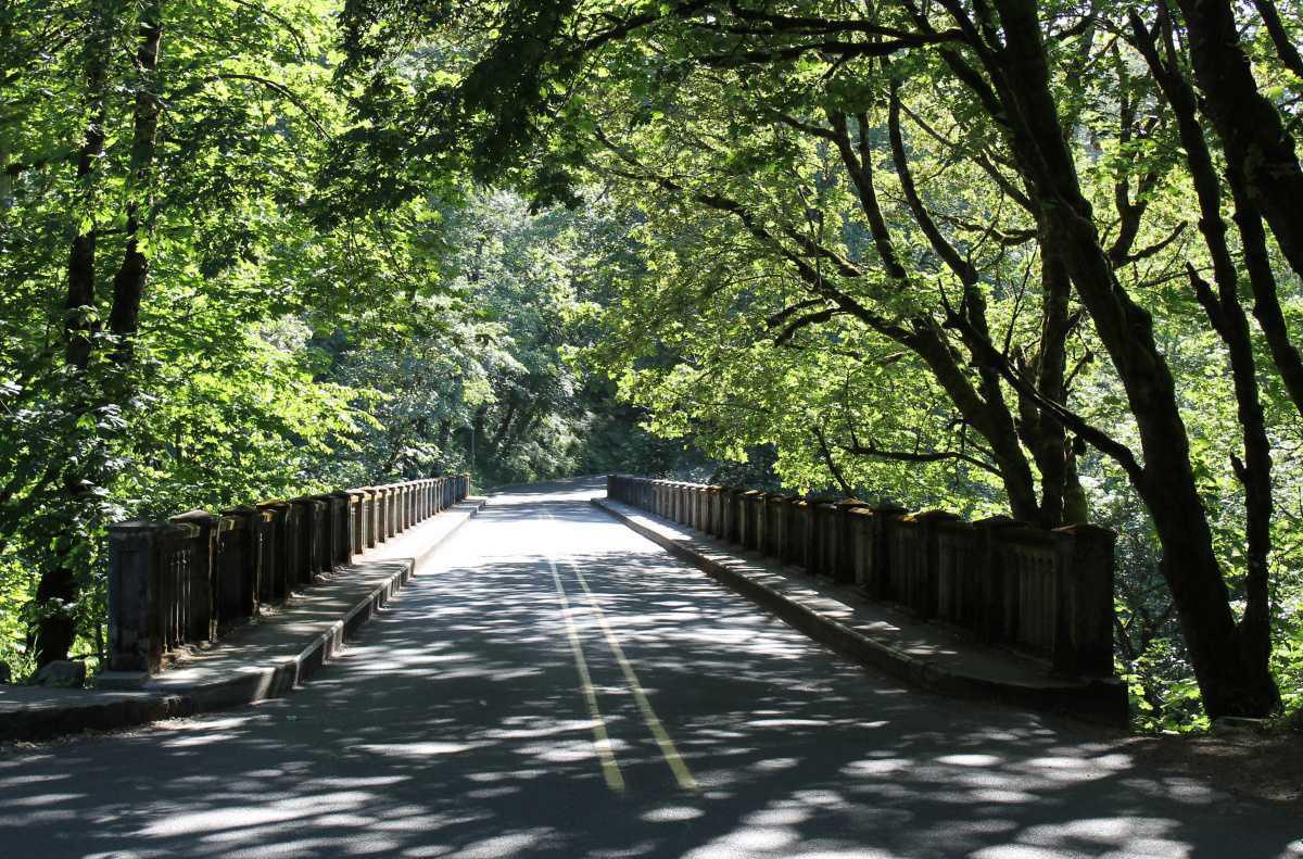 The Rise of Lifestyle Nationalism: Choosing Cities Like Identities The Rise of Lifestyle Nationalism: Choosing Cities Like Identities