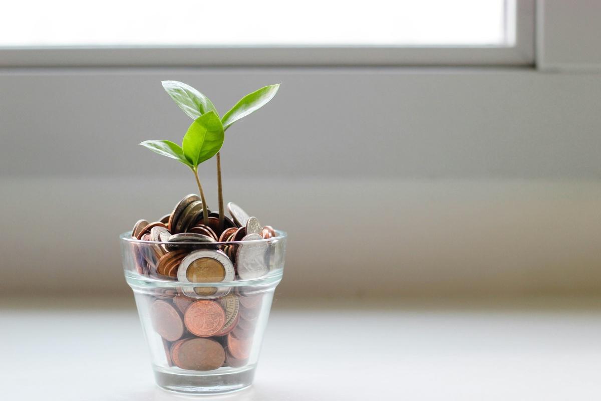 The Anti-Budget: How to Spend Guilt-Free and Still Save
