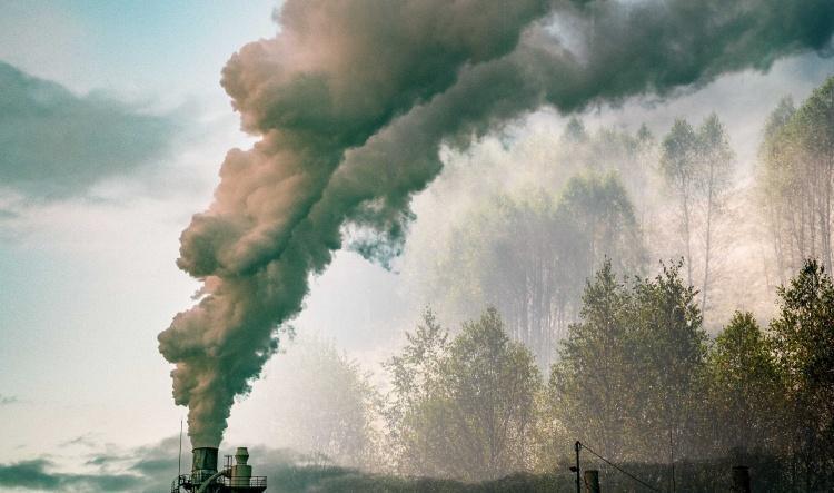 Gidden's Paradox and Why Climate Action Waits