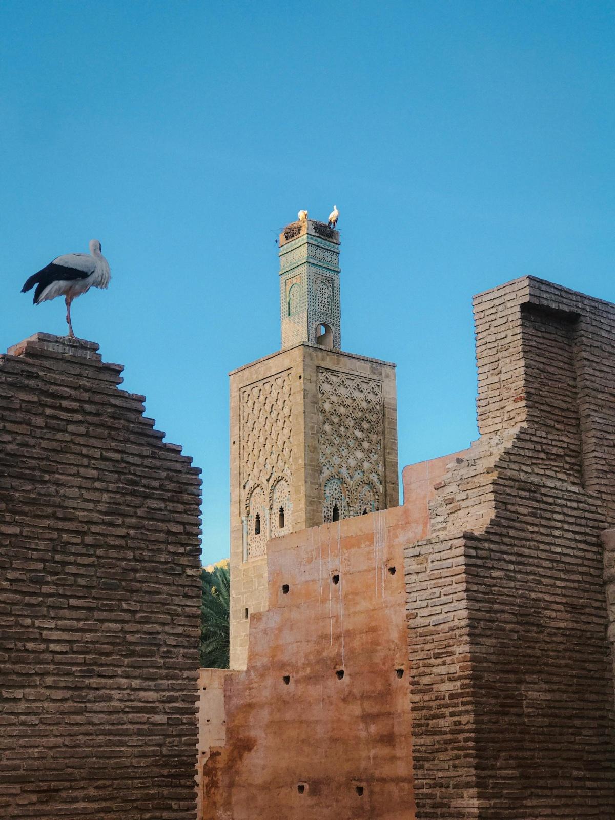 Le Maroc mobilise un budget de 390 MDH pour rénover et reconstruire des dizaines de mosquées