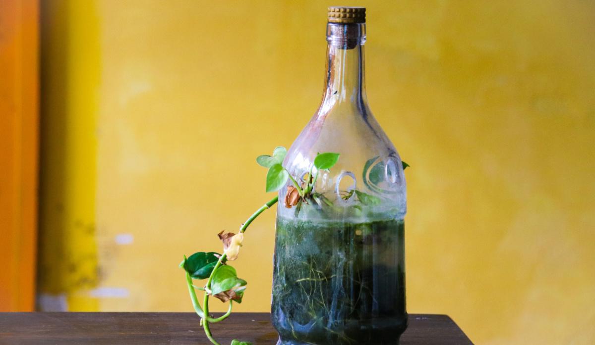 Riduci, riutilizza, ricicla Riduci, riutilizza, ricicla