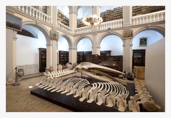 Museo Civico "Emanuele Barba"