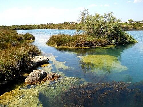 La Palude del Capitano e Spiaggia del Frascone 