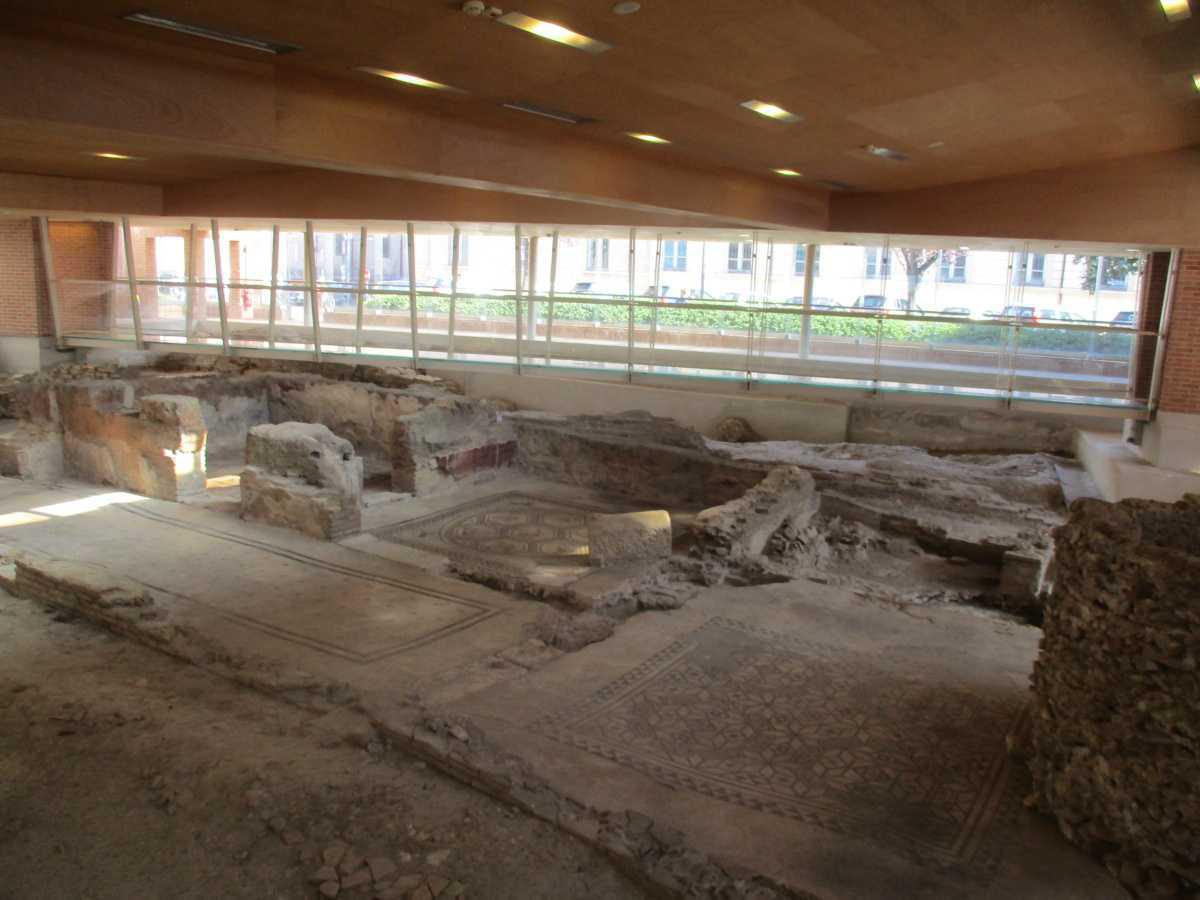 Museo del Chirurgo Museo del Chirurgo