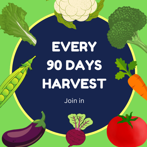90 DAYs HARVEST (1)