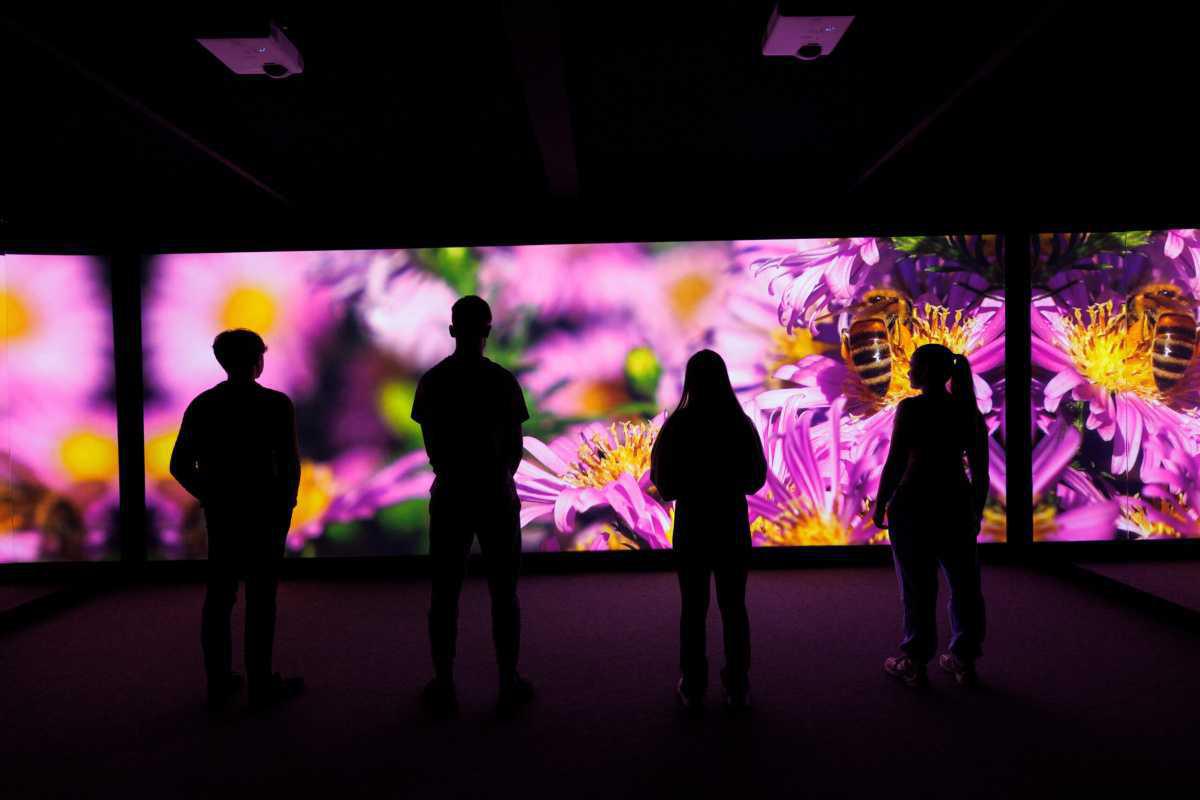 Discover Explorium