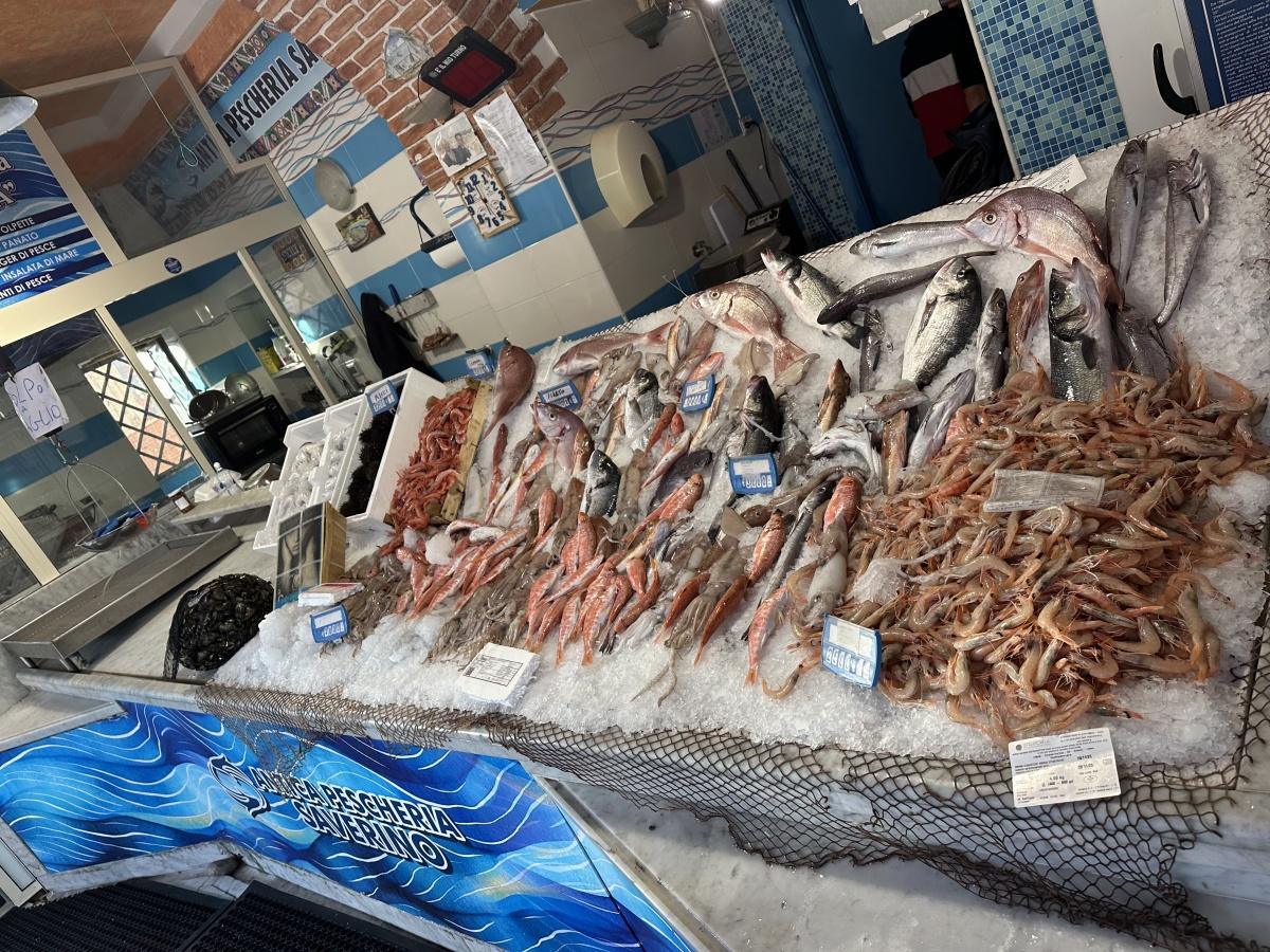 Antica Pescheria Saverino Antica Pescheria Saverino