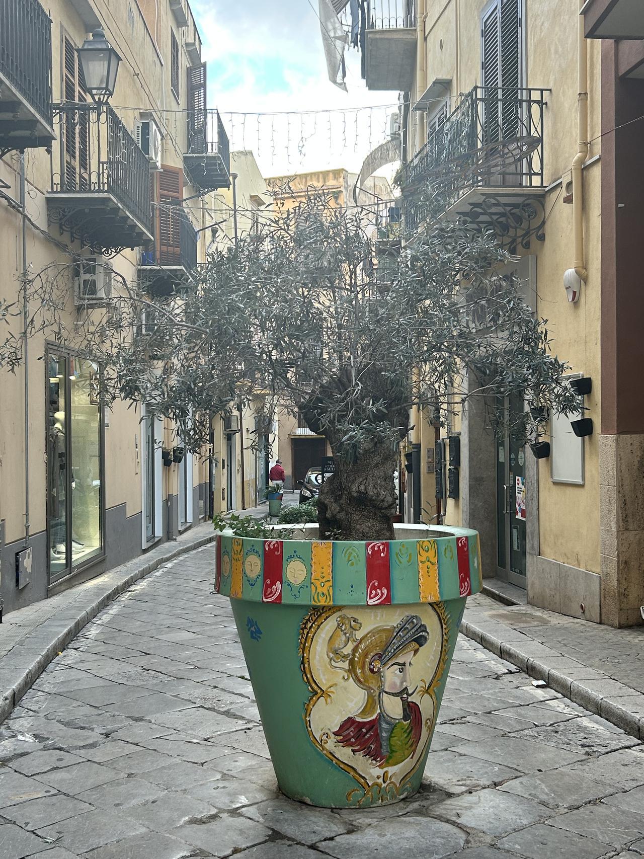 28 Novembre: l'albero della Pace (Ph. Aneta Rinn)