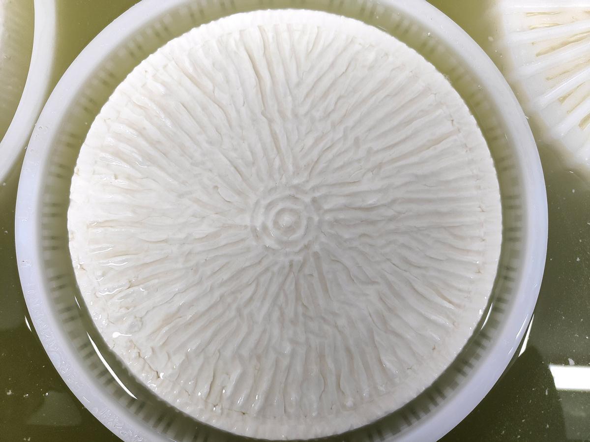 Pecorino cheese (“lu càsu”) Pecorino cheese (“lu càsu”)