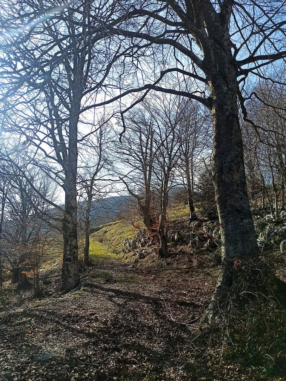 Monte Palombaro