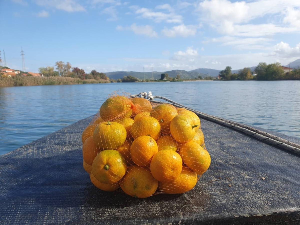 Žrebanje nagradne igre