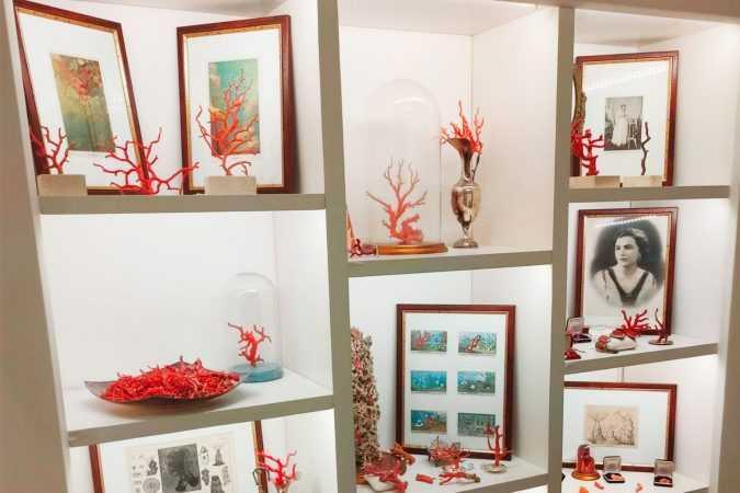 Museo del corallo Nocito - Nocito Coral Museum