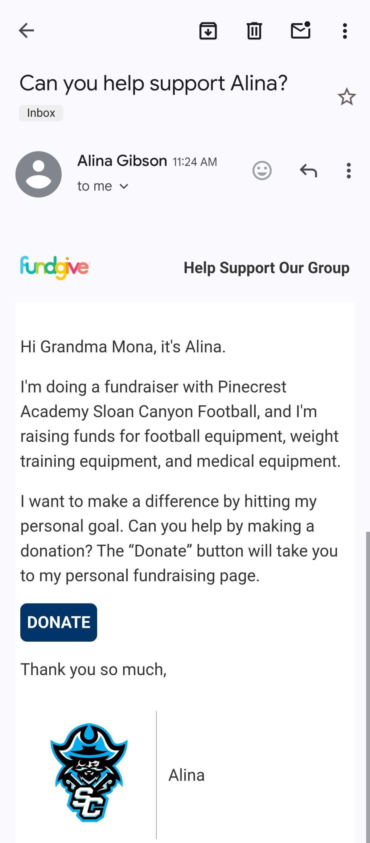 Alina Fundraising (FundGive Demo)